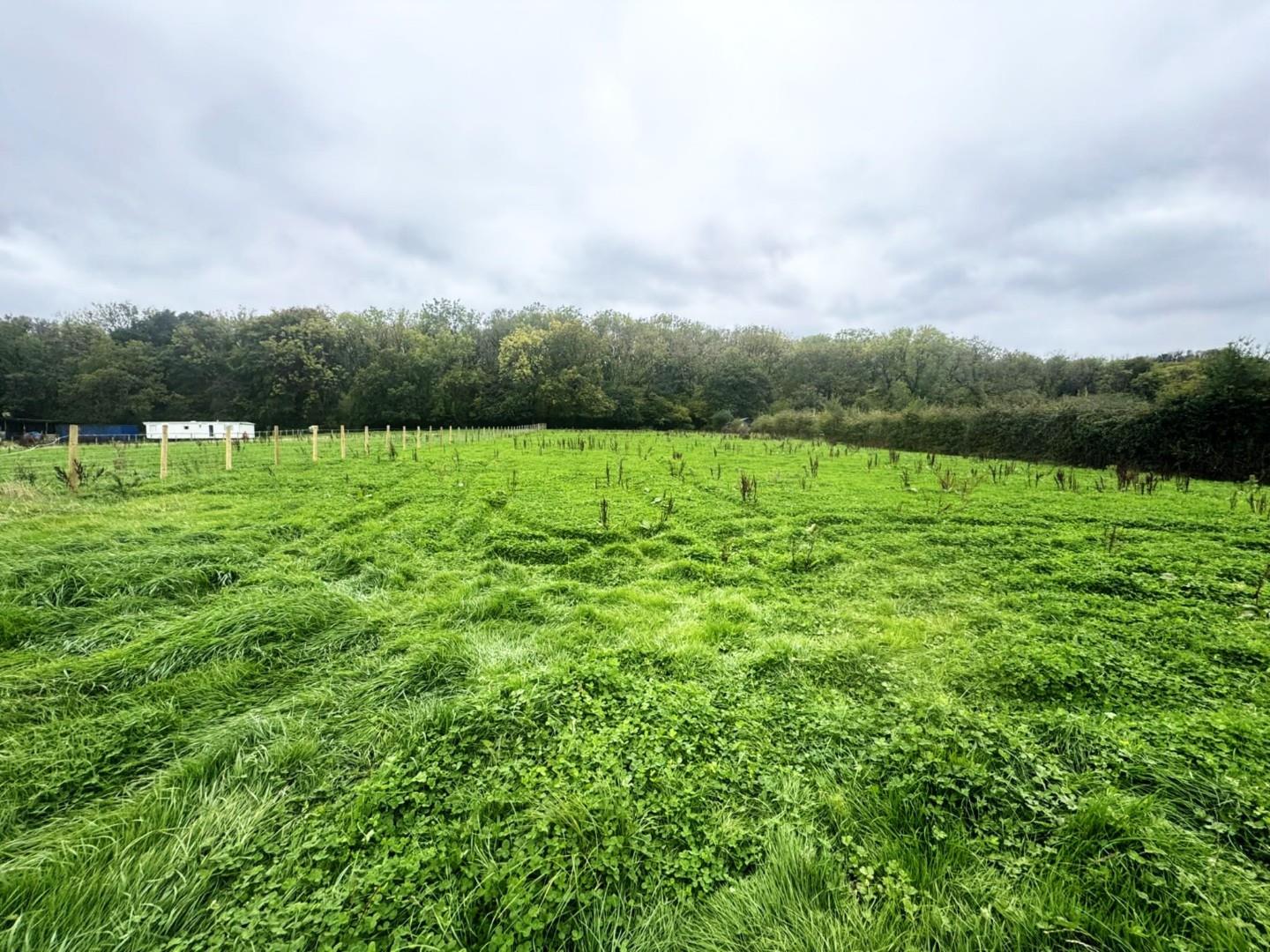 Approx. 0.98 acres of Agricultural Land, Cwrt Yr Ala Road Cardiff Road CF5 5QD
